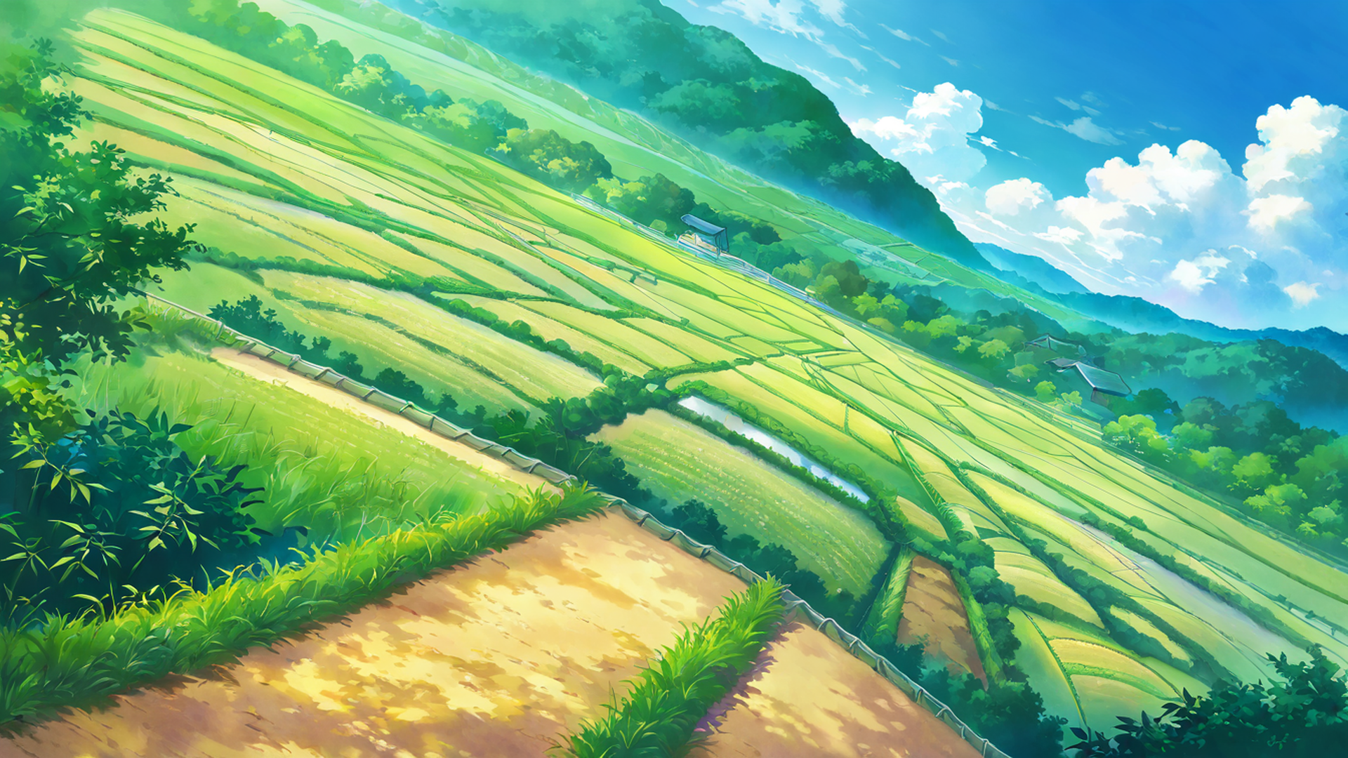 rice fields summer lofi wallpaper
