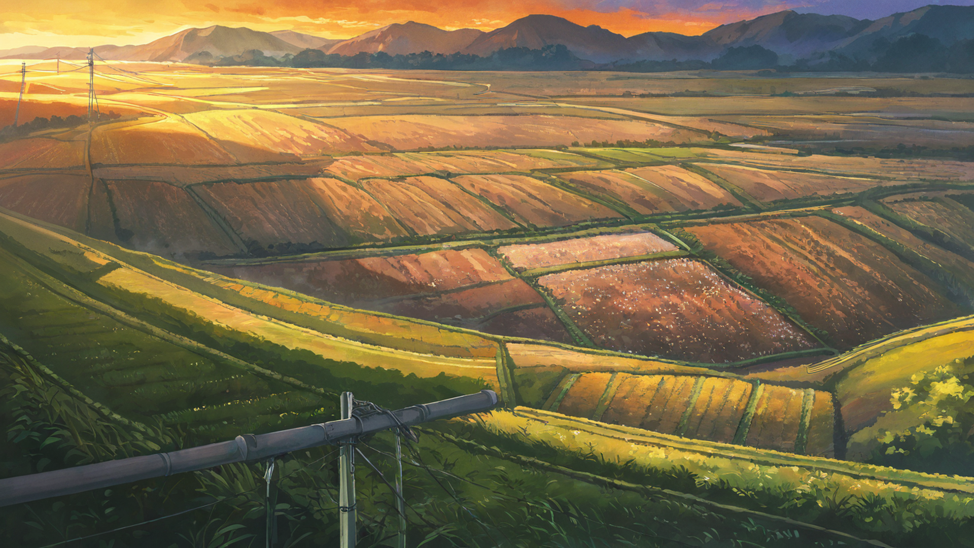 rice fields summer lofi wallpaper