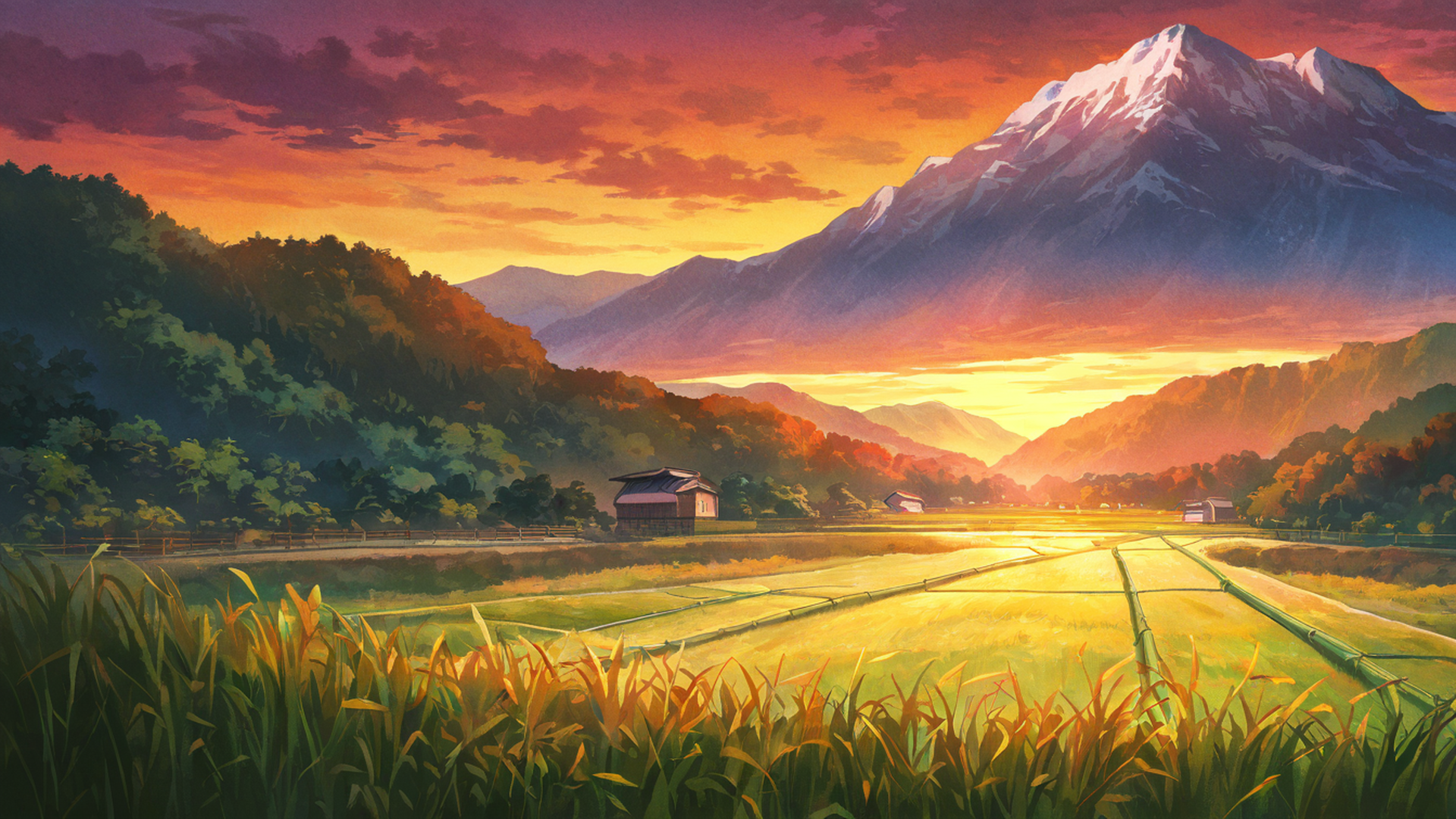 rice fields summer lofi wallpaper
