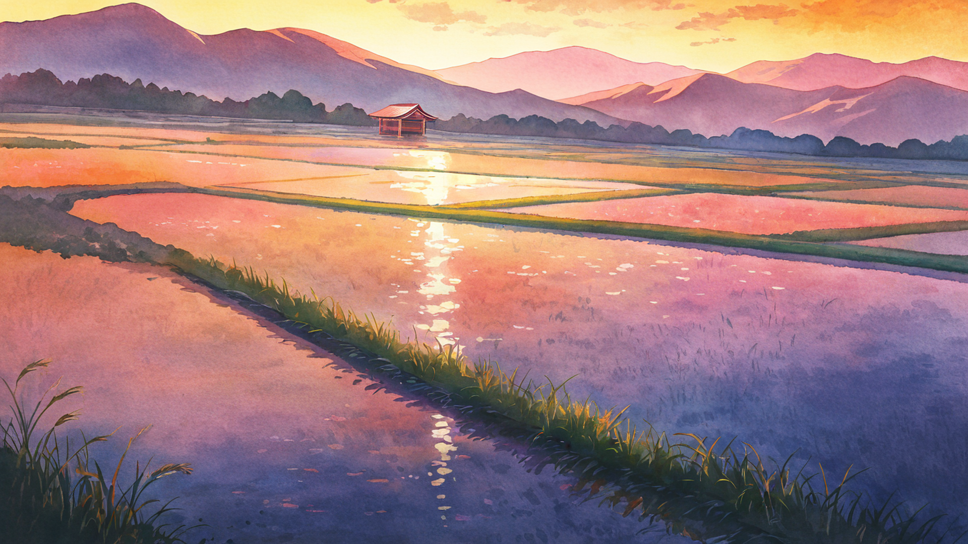 rice fields summer lofi wallpaper