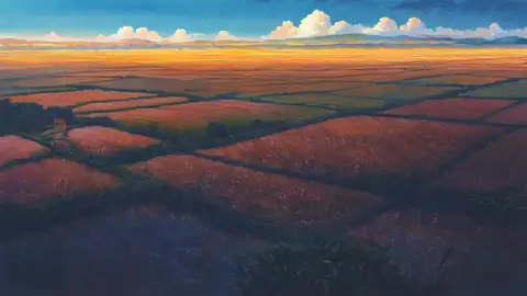 Rice Fields Summer lofi wallpaper rice fields summer 0327498898