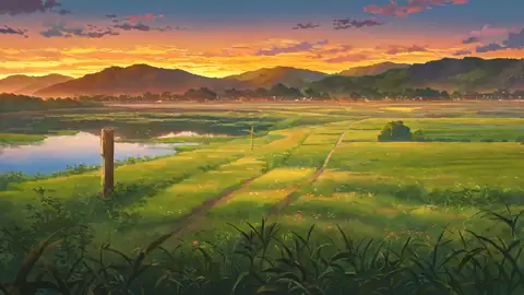 Rice Fields Summer lofi wallpaper rice fields summer 0808473072