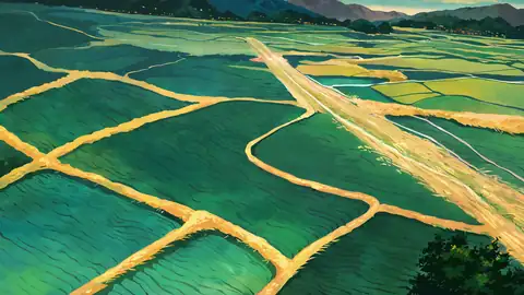 Rice Fields Summer lofi wallpaper rice fields summer 0870630650