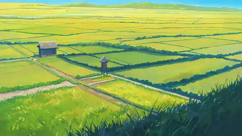 Rice Fields Summer lofi wallpaper rice fields summer 1732035656