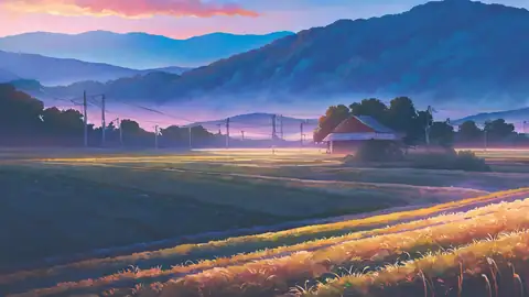 Rice Fields Summer lofi wallpaper rice fields summer 1779567595