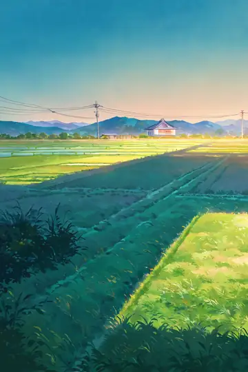 Rice Fields Summer lofi wallpaper rice fields summer 1367747219