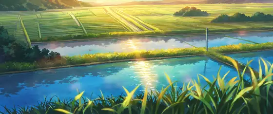 Rice Fields Summer lofi wallpaper rice fields summer 0186759048